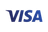 Visa Logo